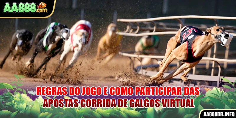 Regras do jogo e como participar das apostas Corrida de galgos virtual