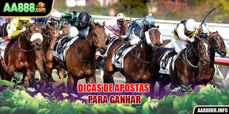 Dicas de apostas para ganhar