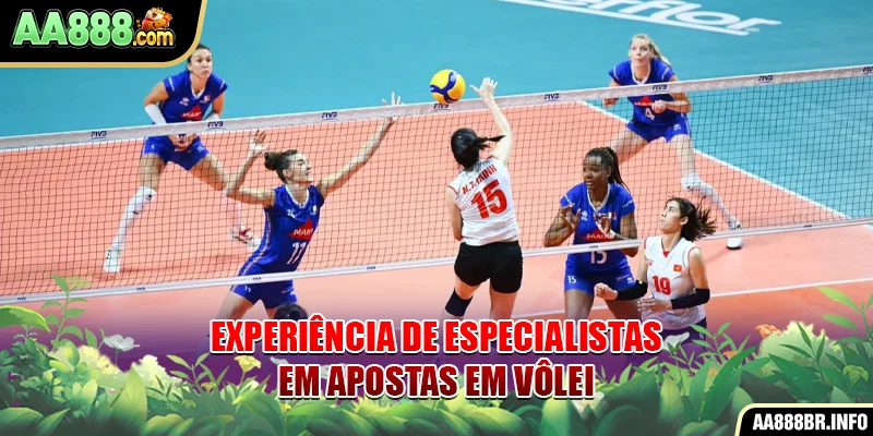 Experiência de especialistas em apostas em vôlei